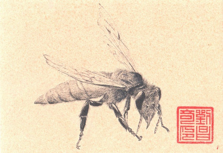 2-160420104336312.jpg