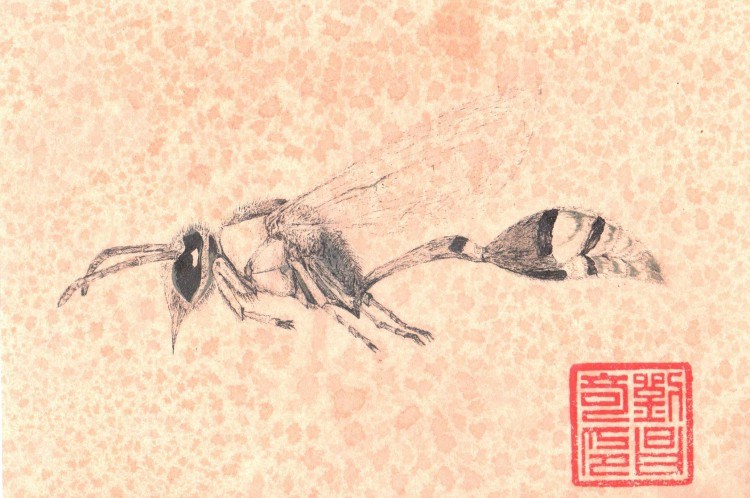 2-160420104356219.jpg