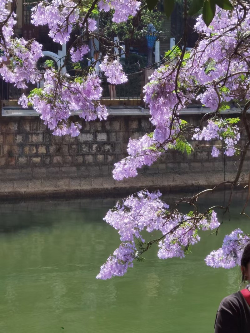 圖片1.jpg