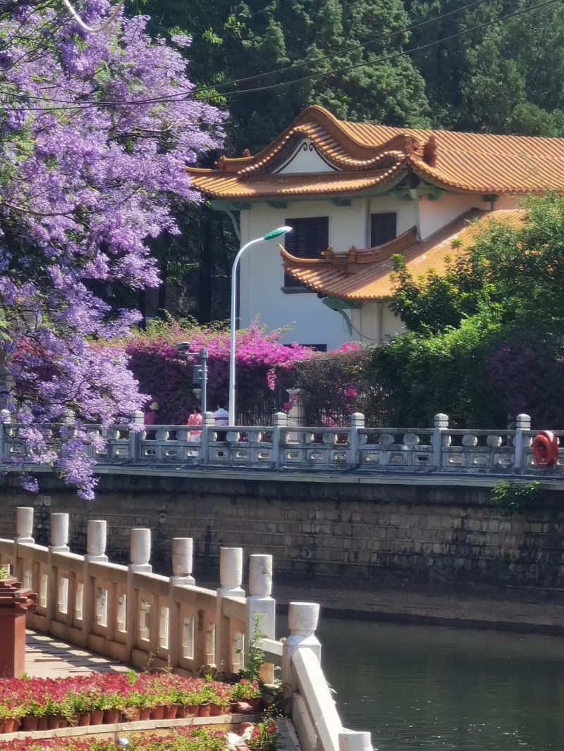 圖片5.jpg