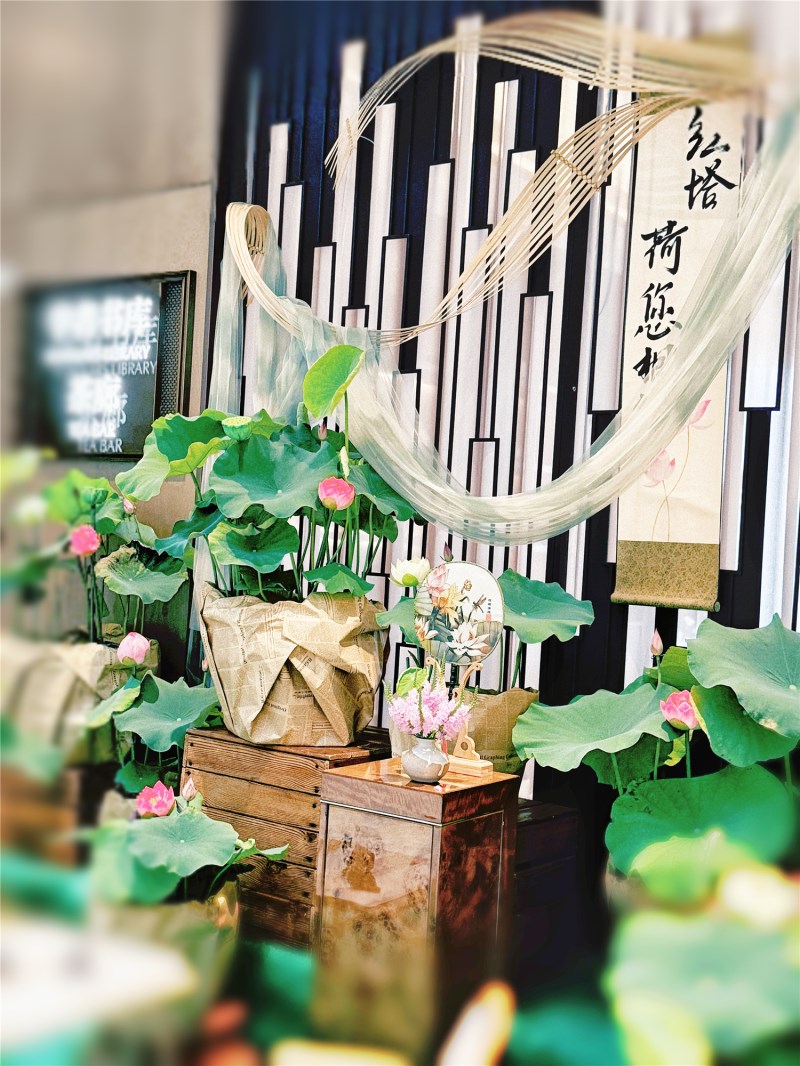 圖2 荷花布景_副本.jpg